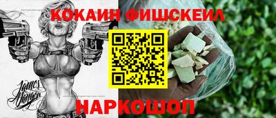 индика Тулун