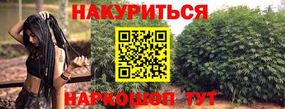 индика Тулун