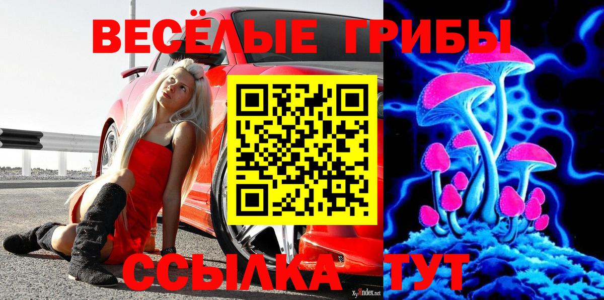Галлюциногенные грибы ЛСД  Вход с VPN  Волгодонск  Псилоцибиновые грибы мухоморы 